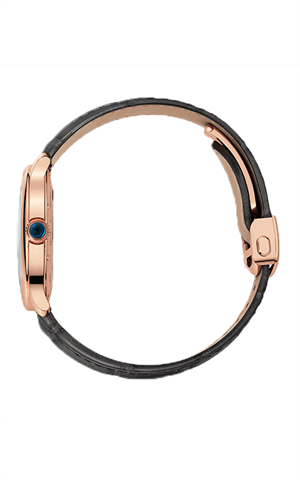 Cartier WGRN0011 Ronde Must Erkek Kol Saati