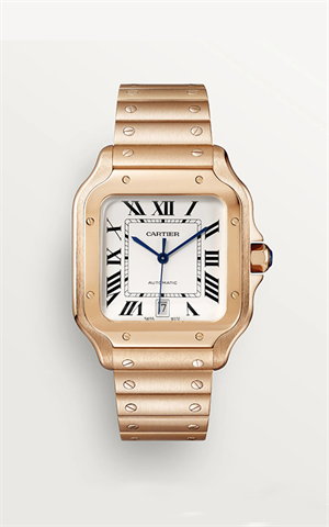 Cartier WGSA0018 Santos Erkek Kol Saati
