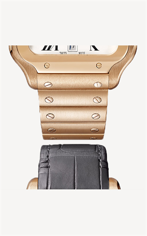 Cartier WGSA0018 Santos Erkek Kol Saati