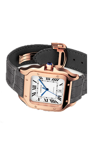 Cartier WGSA0019 Santos Erkek Kol Saati