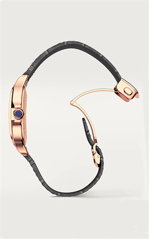 Cartier WGSA0019 Santos Erkek Kol Saati