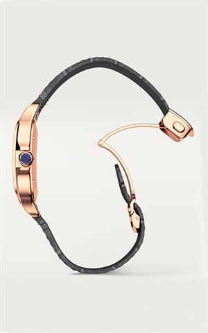 Cartier -WGSA0019- Kol Saati