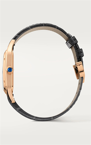 Cartier WGSA0021 Santos Dumont Erkek Kol Saati