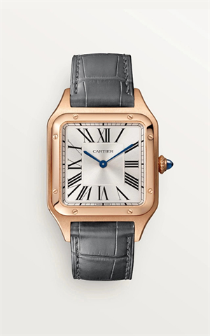 Cartier WGSA0021 Santos Dumont Erkek Kol Saati