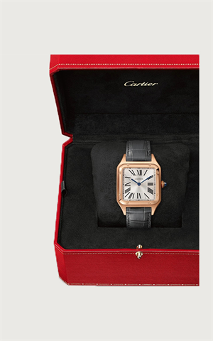Cartier WGSA0021 Santos Dumont Erkek Kol Saati
