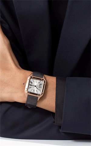 Cartier WGSA0021 Santos Dumont Erkek Kol Saati