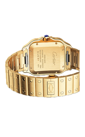 Cartier WGSA0029 Santos Erkek Kol Saati