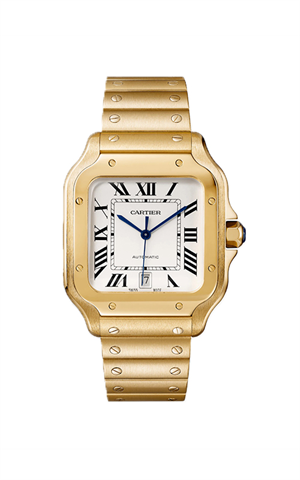 Cartier WGSA0029 Santos Erkek Kol Saati