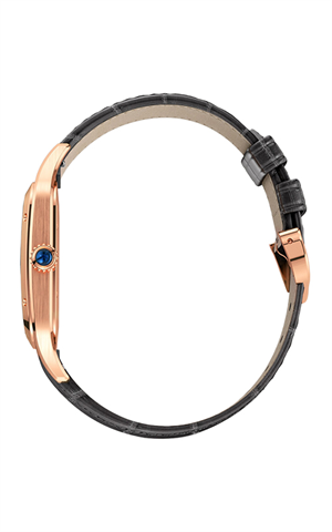 Cartier WGSA0032 Santos Erkek Kol Saati