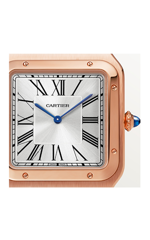 Cartier WGSA0032 Santos Erkek Kol Saati