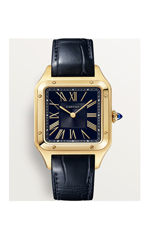 Cartier WGSA0077 Santos Dumont Erkek Kol Saati
