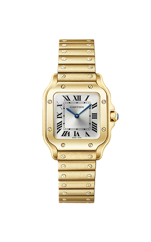 Cartier WGSA0107 Santos Kadın Kol Saati