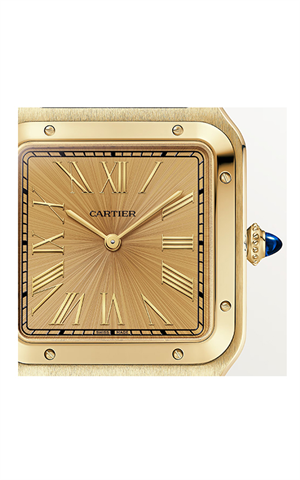 Cartier WGSA0111 Santos Dumont Erkek Kol Saati