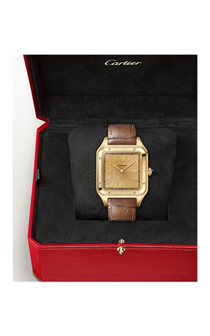 Cartier WGSA0111 Santos Dumont Erkek Kol Saati