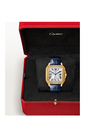 Cartier WJSA0013 Santos Kadın Kol Saati