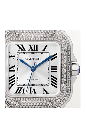 Cartier WJSA0014 Santos Erkek Kol Saati