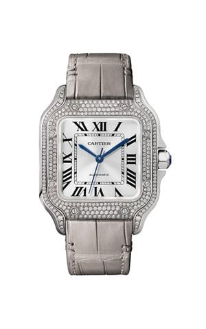 Cartier -WJSA0014- Kol Saati