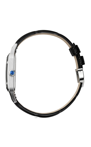 Cartier WSSA0046 Santos Erkek Kol Saati