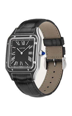 Cartier WSSA0046 Santos Erkek Kol Saati
