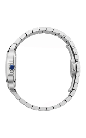 Cartier WSSA0064 Santos Dumont Erkek Kol Saati