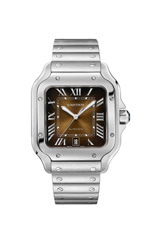 Cartier WSSA0064 Santos Dumont Erkek Kol Saati