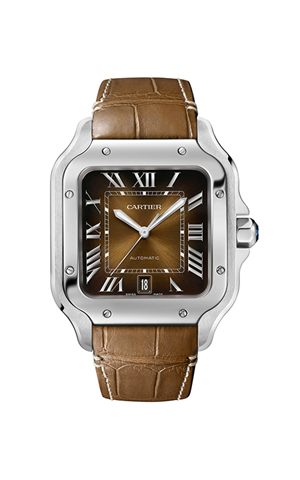 Cartier WSSA0064 Santos Dumont Erkek Kol Saati