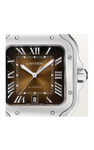 Cartier WSSA0065 Santos Erkek Kol Saati