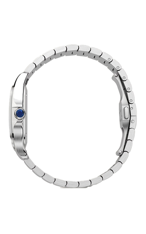 Cartier WSSA0065 Santos Erkek Kol Saati