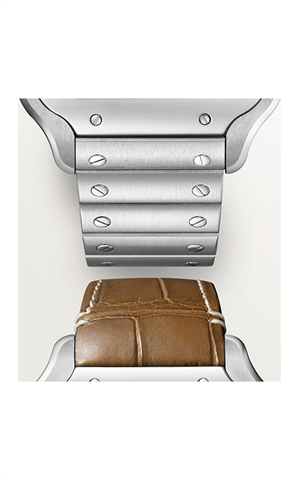 Cartier WSSA0065 Santos Erkek Kol Saati