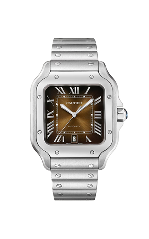 Cartier WSSA0065 Santos Erkek Kol Saati