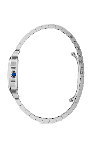 Cartier WSSA0082 Santos Erkek Kol Saati