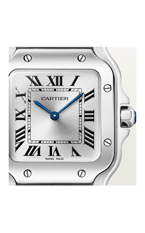 Cartier WSSA0082 Santos Erkek Kol Saati