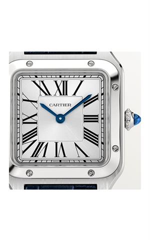 Cartier -WSSA0086- Kol Saati