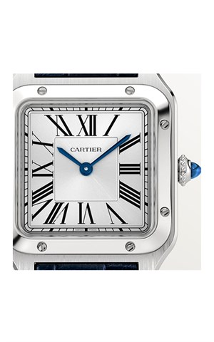 Cartier WSSA0086 Santos Erkek Kol Saati