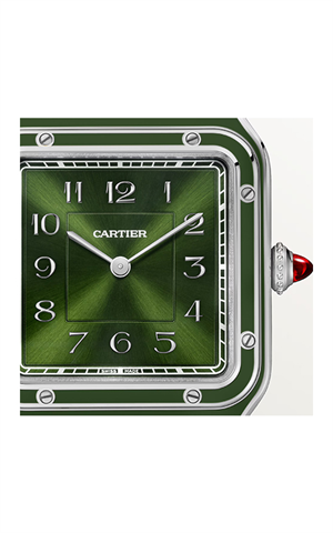 Cartier WSSA0096 Santos Watches