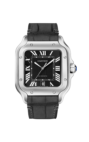 Cartier WSSA0096 Santos Watches