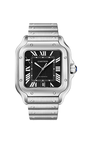 Cartier WSSA0096 Santos Watches