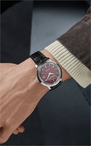 Frederique Constant FC.120BRG3S6 Moneta Solarmetre Erkek Kol Saati