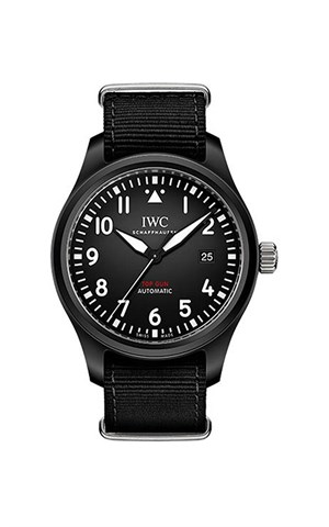 Iwc IW326901 Pilot´s Top Gun Erkek Kol Saati