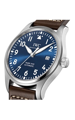 Iwc IW327010 Pilot´s Watch Mark Xvııı Erkek Kol Saati