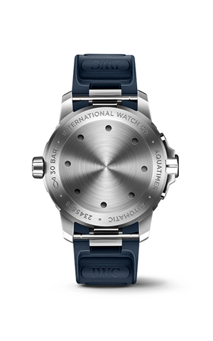 IWC IW328801 Watches