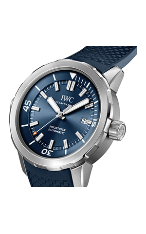 IWC IW328801 Watches