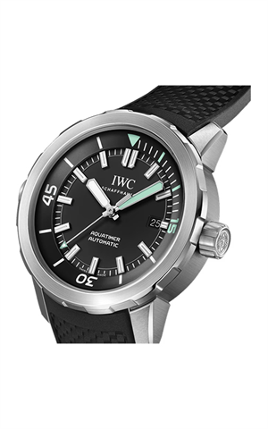 IWC IW328802 Watches