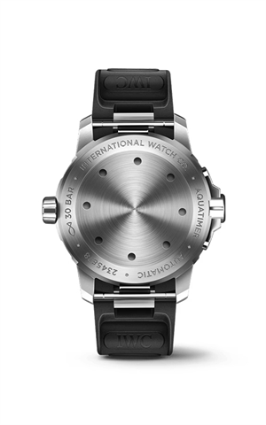 IWC IW328802 Watches