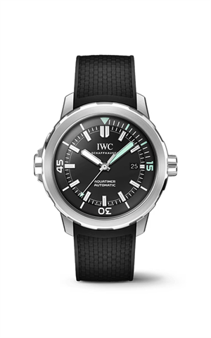 IWC IW328802 Watches
