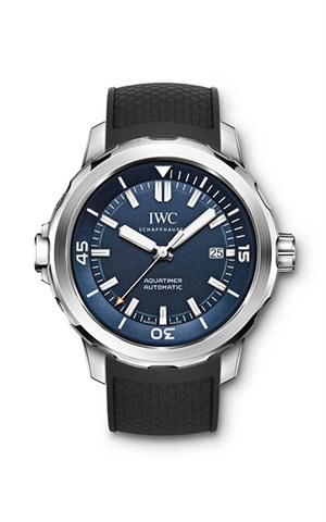 IWC IW329005 Watches