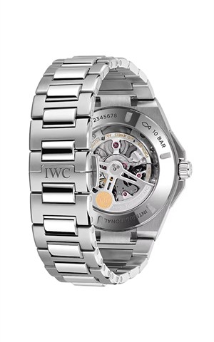 IWC IW344903 Watches