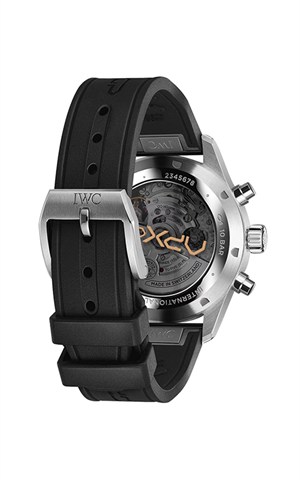 IWC IW378009 Watches