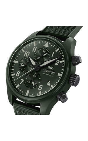 IWC IW389106 Watches