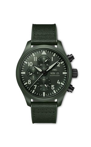 IWC IW389106 Watches